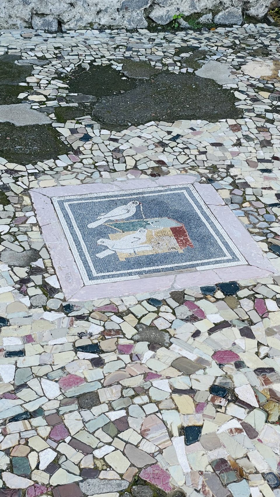 바닥의 모자이크.
