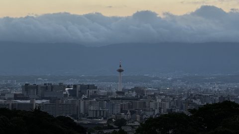 멀리 보이는 교토타워