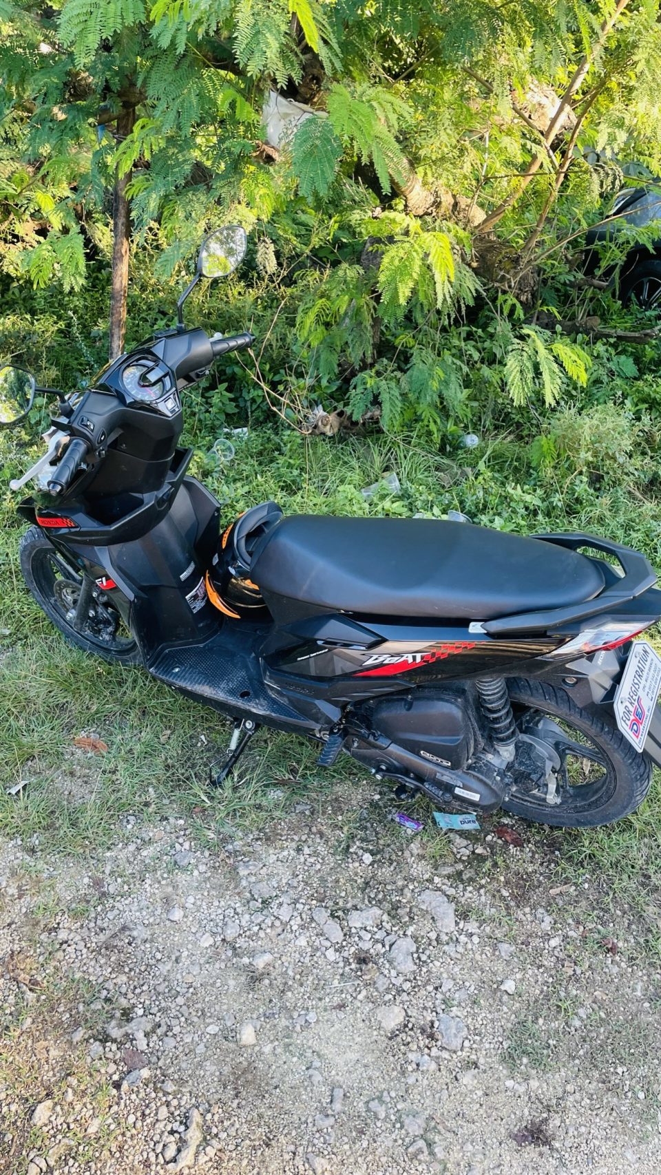 타고 돌아다닌 오토바이