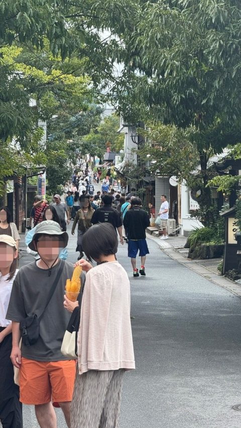 플로랄빌리지 근처 골목