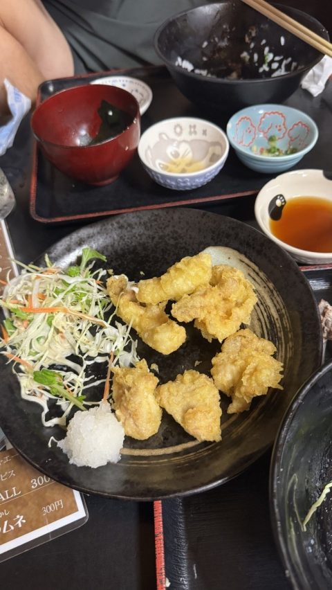 촉촉했던 토리텐