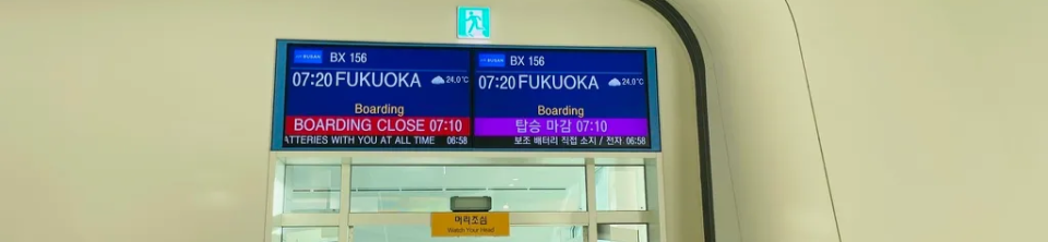 비행 일정