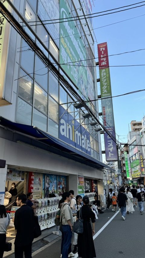 애니메이트에 왔다