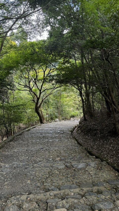 아라시야마 공원에서 카츄라 강으로 가는 길