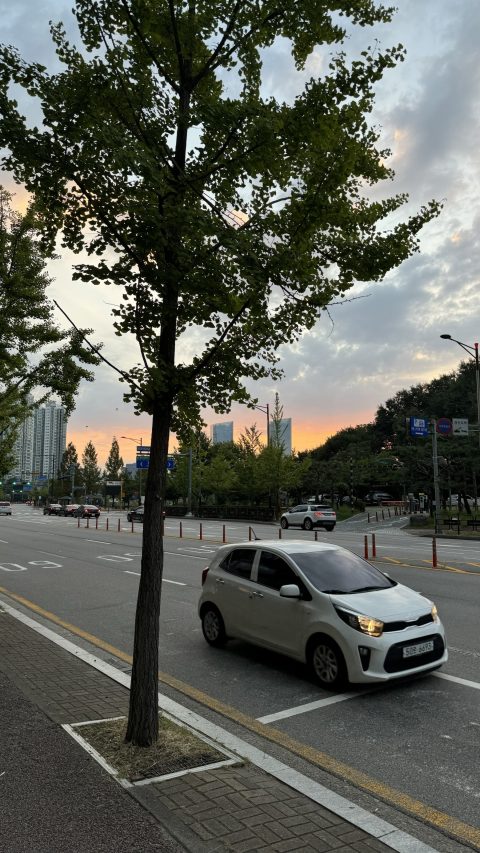 오전 6시, 공항버스를 기다리는 중
