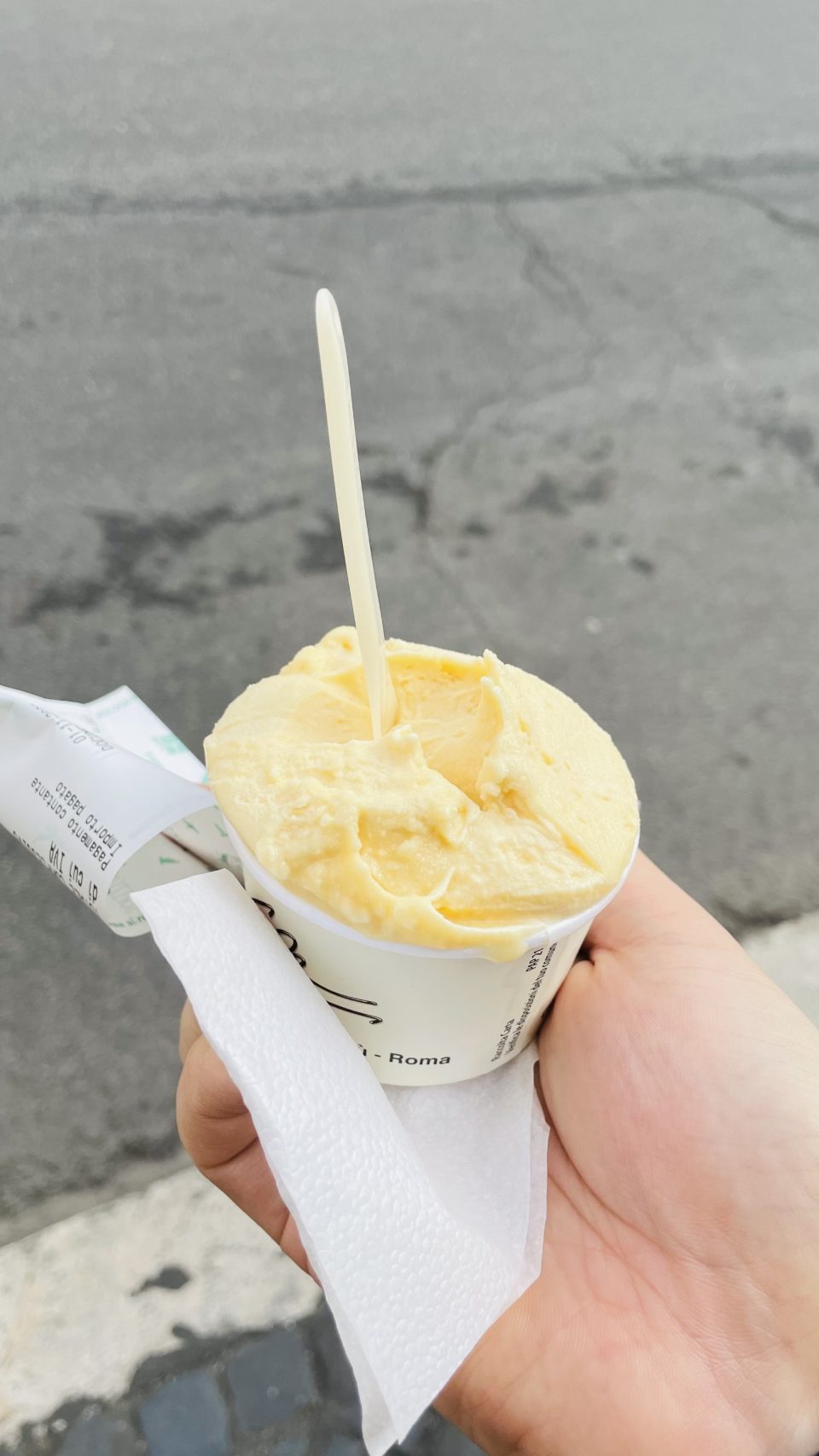 망고맛 젤라또
