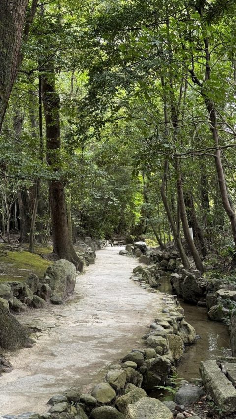 천천히 걸으며 주변을 보고 마음 가라앉히기 좋은 곳.