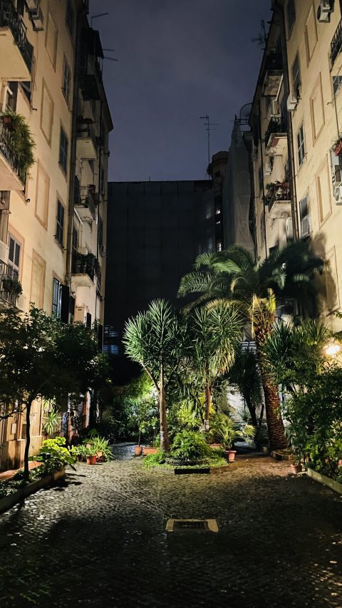 호텔로 드러서면 보이는 작은 정원