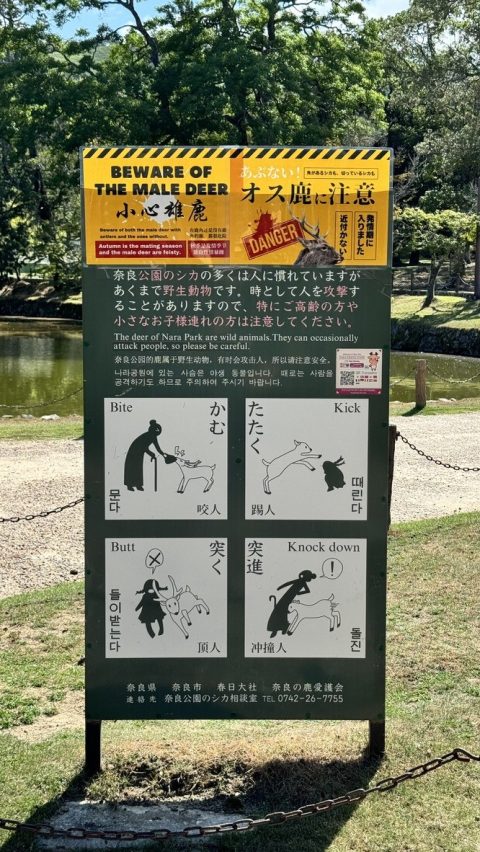 문다, 때린다, 들이받는다 돌진.