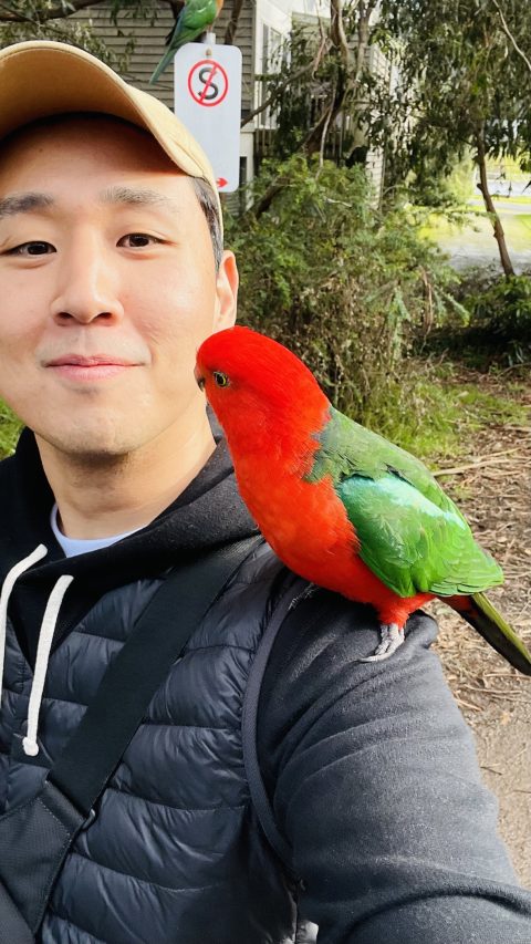잘도 어깨에 올라온다
